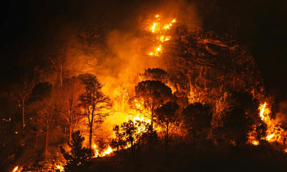 Sicilia in fiamme, il primato che fa paura: terza regione d’Europa per territorio bruciato