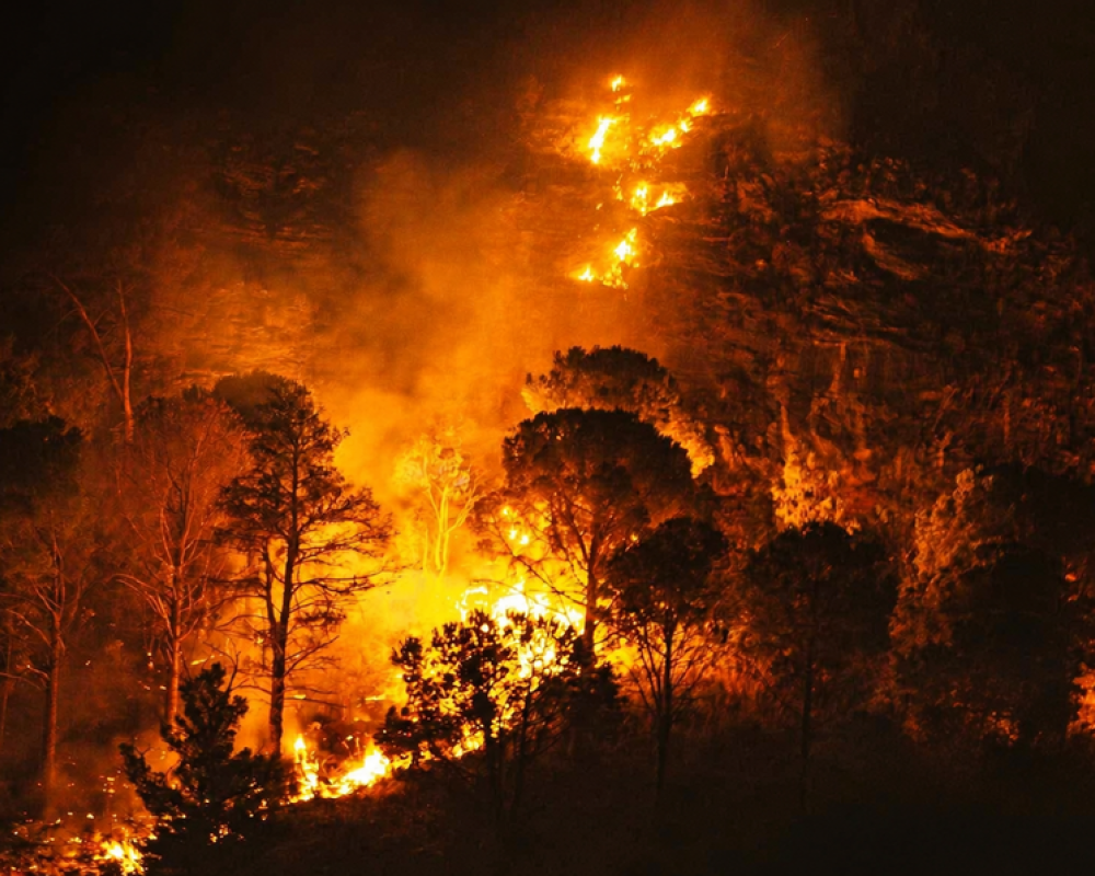 Sicilia in fiamme, il primato che fa paura: terza regione d’Europa per territorio bruciato
